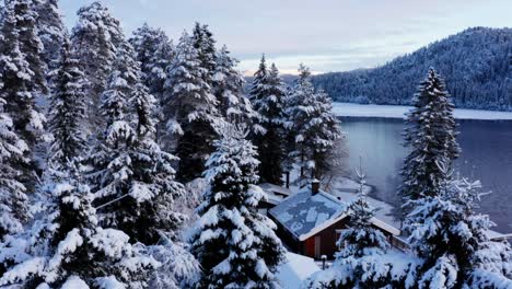 Schneebedeckte-Kiefern-Und-Hütten-An-Den-Bergen-Im-Winter-In-Norwegen
