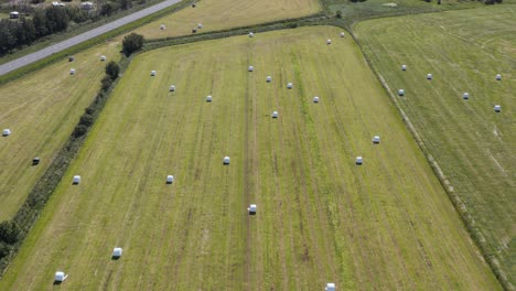 Rural-grass-field-filled-with-round-hay-bales-on-sunny-day-in-Iceland,-Egilsstaðir