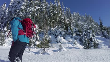 Side-View-of-Man-Snowshoeing-on-Mount-Porter,-Vancouver-Island,-Canada