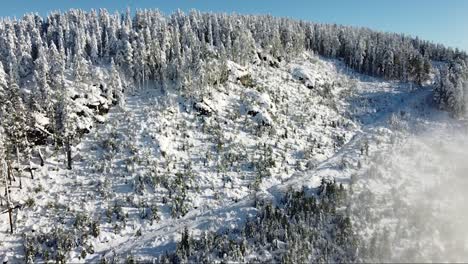 Aerial-Frozen-Forest-on-Vancouver-Island,-Canada