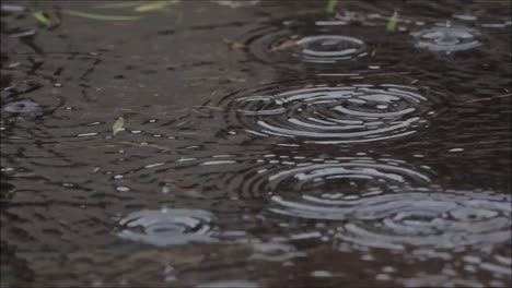 Nahaufnahme-Von-Regen,-Der-In-Den-Boden-Fällt-Und-Kreisförmige-Wellen-Erzeugt,-Hintergrund-Einer-Verregneten-Straße,-Standbild
