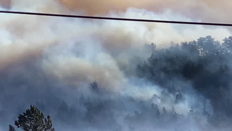 Dunkler-Verheerender-Rauch-über-Wald,-Brennende-Bäume-Vom-Marshallfeuer,-Boulder-Stadtgebiet,-Colorado-Usa
