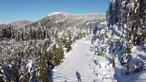 Man-Standing-in-Deep-Snow-Aerial-on-Vancouver-Island,-Canada
