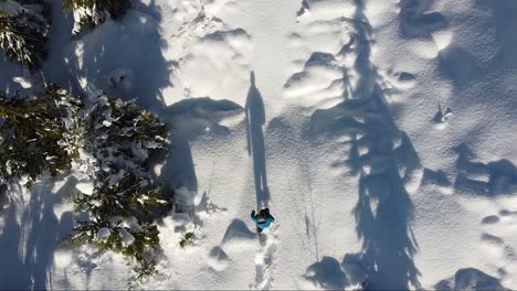 Top-Down-Aerial-of-Snowshoeing