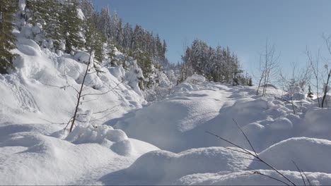 Montículos-De-Nieve-Pilly-En-La-Isla-De-Vancouver,-Canadá