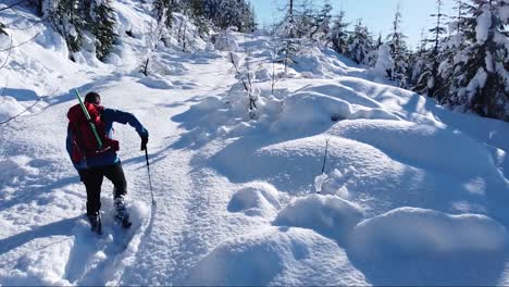 Man-Snowshoeing-Uphill-on-Mount-Porter,-Vancouver-Island,-Canada