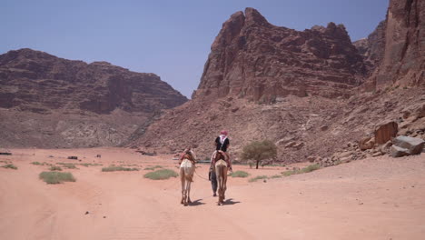 Tourist-Riding-Camel-in-Desert-Landscape-of-Wadi-Rum,-Jordan-on-Hot-Sunny-Day