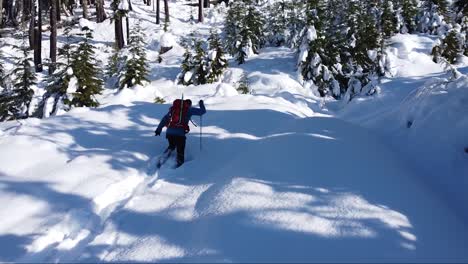 Man-Snowshoeing-Uphill-on-Mount-Porter,-Vancouver-Island,-Canada