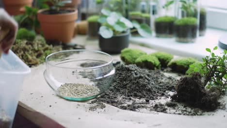 Mit-Einer-Kelle-Und-Füllen-Eines-Kristallschalentopfes-Mit-Kies,-Home-Gardening-Hobby-Concept,-Still-Shot