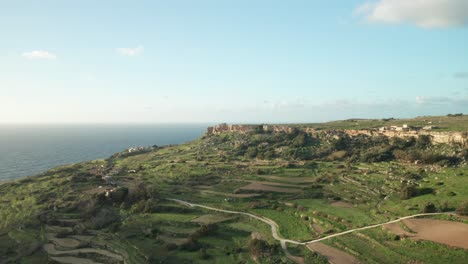 AERIAL:-Rocky-Cliffs-near-Green-Paddy-Fields-in-Malta-on-a-Sunny-Evening-During-Winter