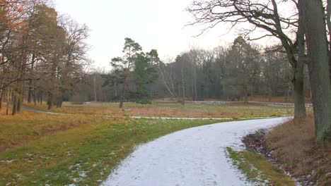 Zeitlupenaufnahme-Der-Schönen-Aussicht-Auf-Den-Wanderweg-Im-Schneewald-Mit-Friedlichen-Farben-Der-Bäume-Auf-Natürlichem-Hellem-Hintergrund