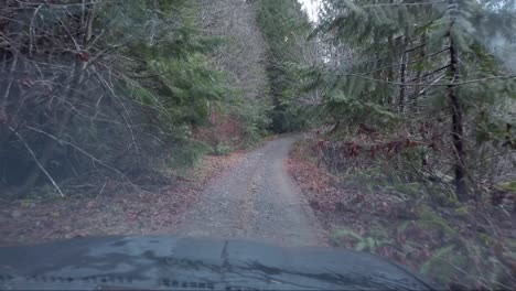 Logging-Road-up-Mount-Porter,-Vancouver-Island,-Canada