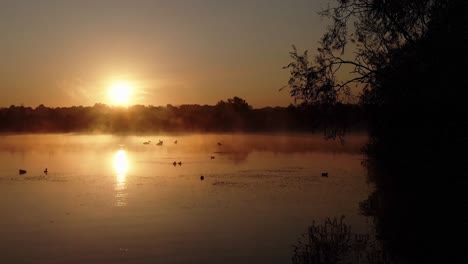 Silhouette-of-wild-ducks-in-a-lake-during-a-mesmerizing-sunrise-early-in-the-morning,-cinematic-shot-of-backlit-animals