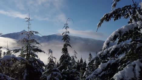 Schwenk-über-Die-Winterlandschaft-Auf-Vancouver-Island