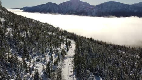 Aerial-Snowshoe-Tracks-on-Vancouver-Island,-Canada