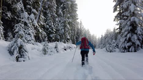 Mann-Schneeschuhwandern-Auf-Dem-Mount-Porter,-Vancouver-Island,-Kanada