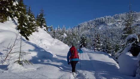 Man-Snowshoeing-on-Mount-Porter,-Vancouver-Island,-Canada