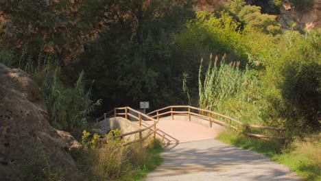 Cruzando-El-Puente-De-Bambú-Caminata-Sobre-La-Selva-Tropical-Jungla