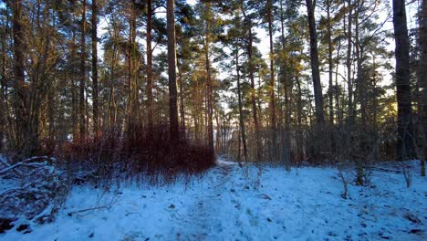 Punto-De-Vista-De-Un-Excursionista-Caminando-Por-Un-Sendero-En-Un-Bosque-Durante-El-Invierno-Mientras-El-Sol-Se-Asoma-Entre-Los-árboles