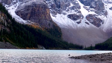 View-of-South-Shore-of-Moraine-Lake-in-the-Rocky-Mountains