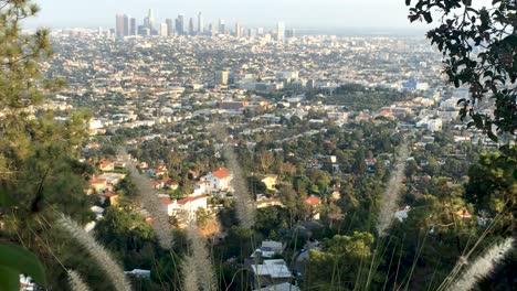 Pan-up-to-Downtown-Los-Angeles-from-Griffith-Park