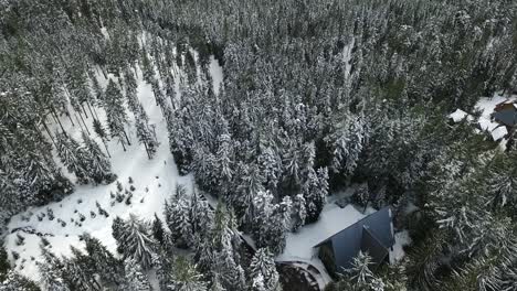 Aerial-of-Mount-Hood's-ski-resort-lodging-surrounded-by-snow-and-forests