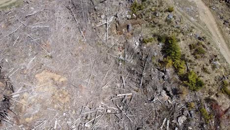 Luftaufnahme-Des-Abgeholzten-Waldes-Von-Port-Alberni,-Vancouver-Island,-Kanada