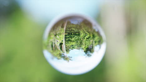 Daytime-Amazonian-river-cruise-refracted-in--a-bubble