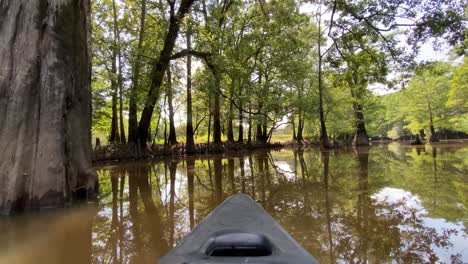 A-serene,-first-person-POV-shot-of-an-outdoorsy-kayak-slowly-gliding-over-muddy-water-between-beautiful,-tall-cypress-trees-growing-in-a-forest-with-a-swamp-in-Shreveport,-Louisiana