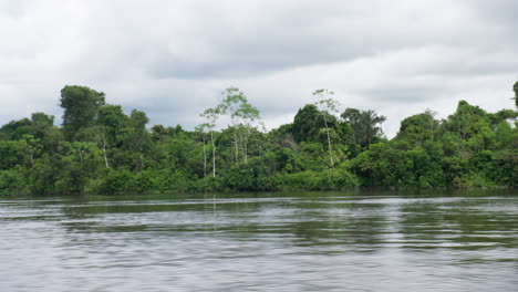 Wide-shot-of-Amazonian-rainforest-from-a-moving-boat-on-an-overcast-day