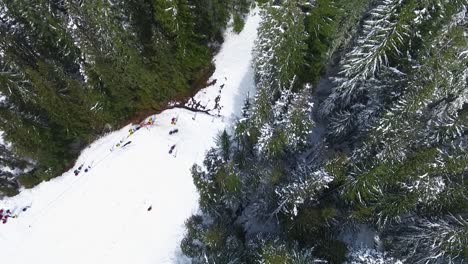 Aerial-above-people-riding-inner-tubes-down-Mount-Hood's-slopes