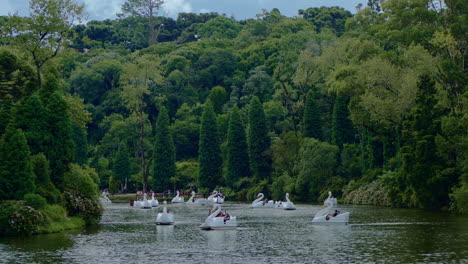 White-swan-water-pedal-boats-in-the-Black-Lake---Lago-Negro---surrounded-by-the-forest-in-Gramado,-Canela,-Rio-Grande-do-Sul,-Brazil