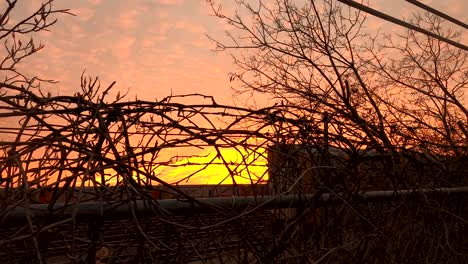 Sunset-behing-silhouetted-barbed-wire-covered-in-bramble-vines-on-a-cloudy-evening---4k