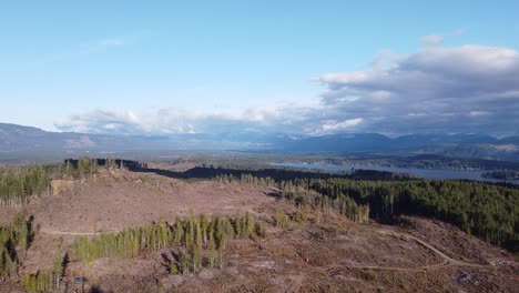 Luftaufnahme-Des-Abgeholzten-Waldes-Von-Port-Alberni,-Vancouver-Island,-Kanada