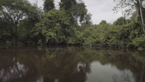 First-person-view-of-Amazonian-river-and-jungle-on-an-overcast-day