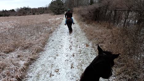 Winter-Trail-riding,-Maybury-State-Park,-Michigan,-USA