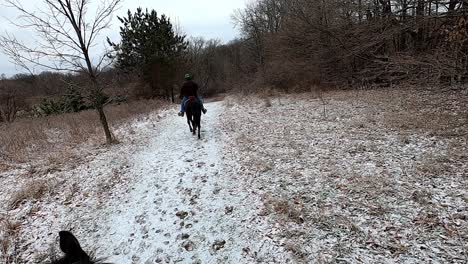 Winter-Trail-riding,-Maybury-State-Park,-Michigan,-USA