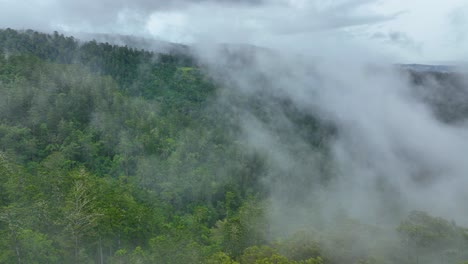 Drone-Volando-A-Través-De-La-Niebla-Sobre-Una-Impresionante-Selva-Tropical-Prehistórica-De-Queensland