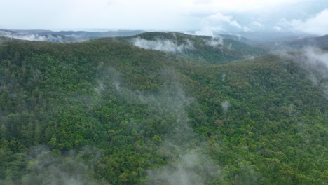Drone-Volando-A-Través-De-La-Niebla-Sobre-Una-Impresionante-Selva-Tropical-De-Queensland
