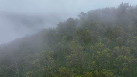 Aerial-view-of-a-stunning-rain-forest-covered-with-thick-mist-after-a-late-afternoon-rain-shower