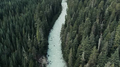 Frozen-River-Amidst-The-Lush-Green-Forest-In-British-Columbia,-Canada