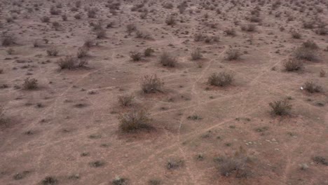 Ein-Einsamer-Kojote-In-Der-Mojave-Wüste,-Der-Einem-Wildpfad-Folgt---Luftbild