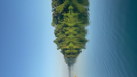 Vertical-video---Reflection-of-trees-and-vegetation-on-MacRitchie-Reservoir,-Singapore