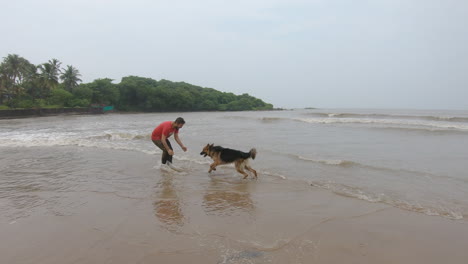 the-friendship-of-dogs-and-their-masters-running-merrily-on-the-beach-|-German-shepherd-dog-with-owner-playing-on-beach