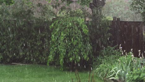 Starker-Regen-In-Einem-Grünen-Garten-Mit-Bäumen,-Gras-Und-Blumen,-Wind-Weht-Hr08
