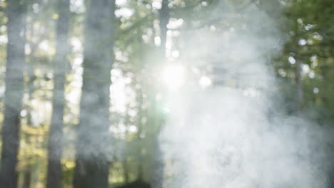 Footage-of-the-smoke-of-campfire-going-up-into-the-air-with-the-morning-sun-filtering-through
