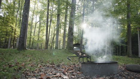 Wide-static-footage-of-a-fire-ring-in-a-National-Park-campground-in-the-morning-that-is-smoking