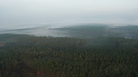 Aerial-View-of-Thick-Morning-Fog-Above-Dense-Evergreen-Forest,-Drone-Shot
