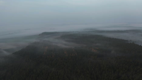 Fliegen-über-Nebligen-Wald-An-Kalten-Herbstmorgen,-Drohnen-Luftbild