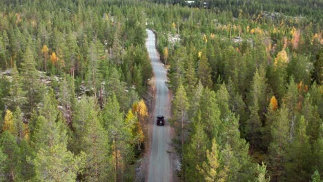 Car-Driving-On-A-Narrow-Road-Between-Pine-Trees-At-Dovrefjell-National-Park,-Norway
